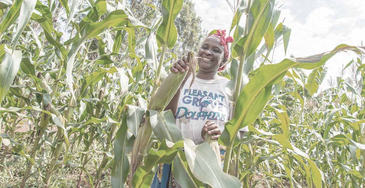 Read more about the article Understanding the political economy of maize in Kenya