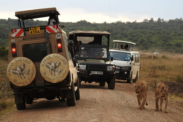 Read more about the article Top 25 Brands Transforming Tourism Experience in Kenya 2022